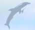 Delfino acrobatico