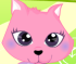 Giochi Gatti