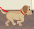Per strada con il tuo Cane